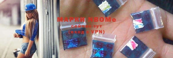 хмурый Аркадак