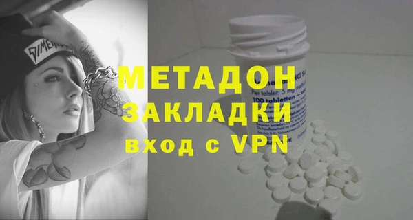 хмурый Аркадак