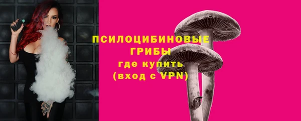 хмурый Аркадак