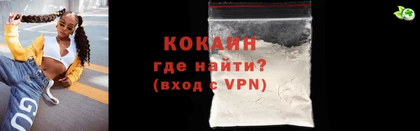 хмурый Аркадак