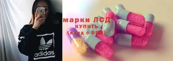 хмурый Аркадак