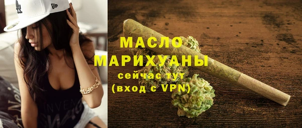 хмурый Аркадак