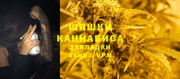 хмурый Аркадак