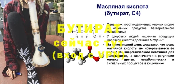 хмурый Аркадак