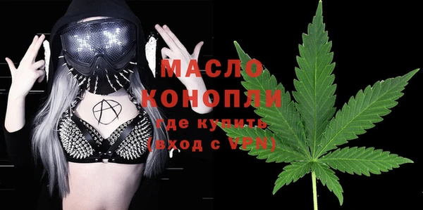 хмурый Аркадак