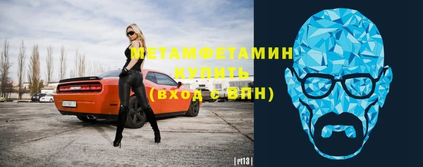 хмурый Аркадак