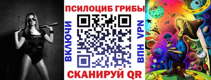 mega маркетплейс  Сухиничи  Псилоцибиновые грибы GOLDEN TEACHER 